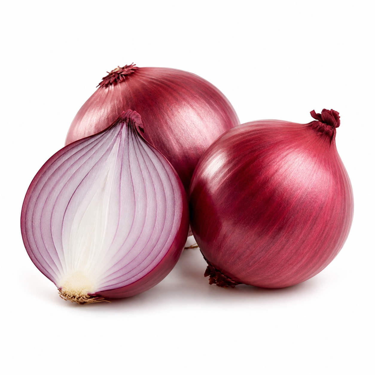 Červená cibule